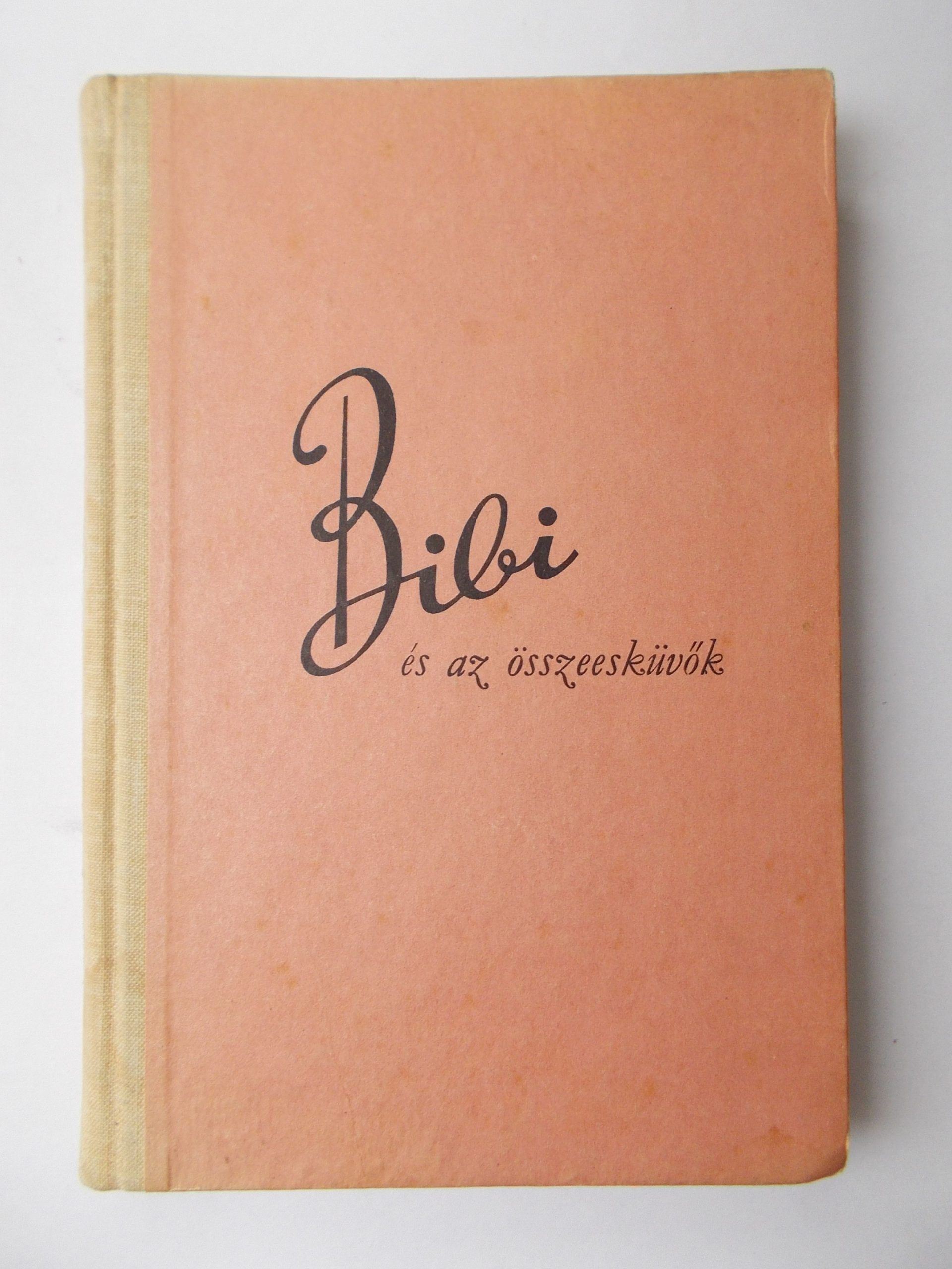Karin Michaelis: Bibi és az összeesküvők - 1. kép