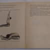 Paramhansa Swami Maheshwarananda: Jóga haladóknak - Thumbnail Image 4
