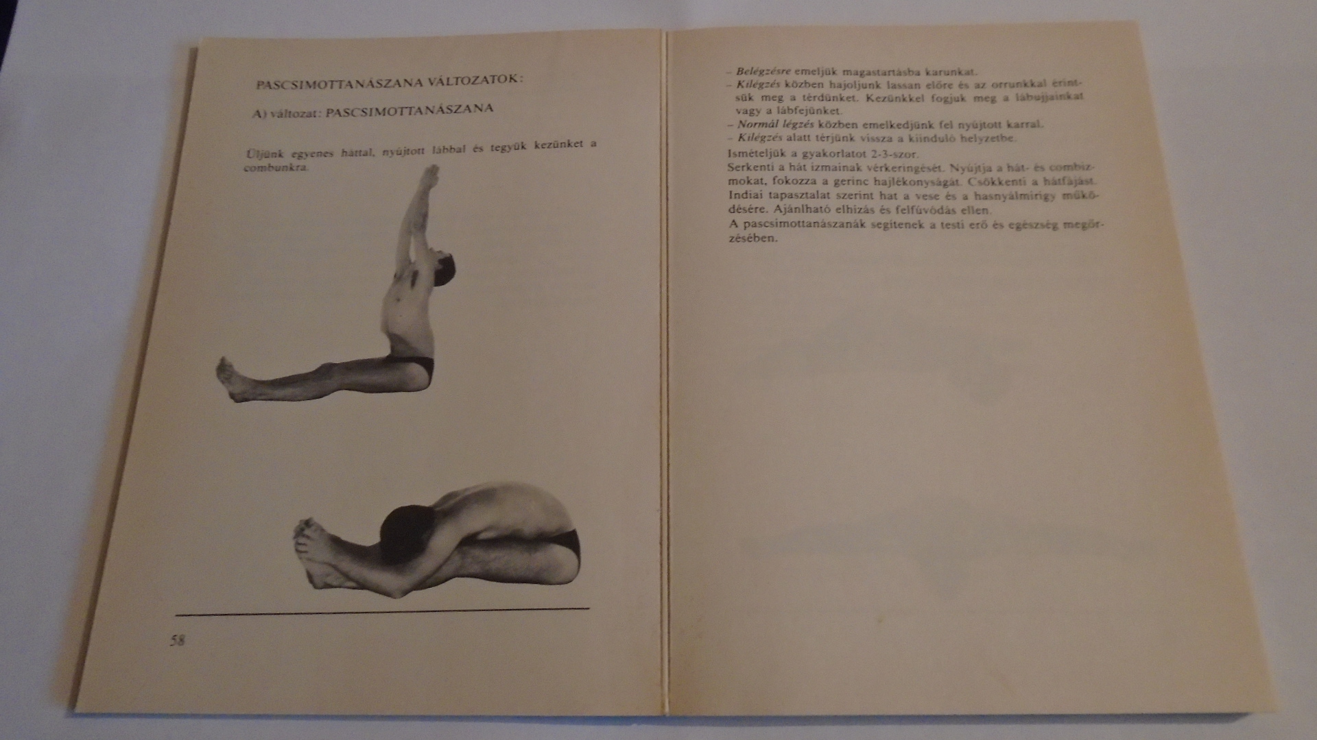 Paramhansa Swami Maheshwarananda: Jóga haladóknak - 4. kép