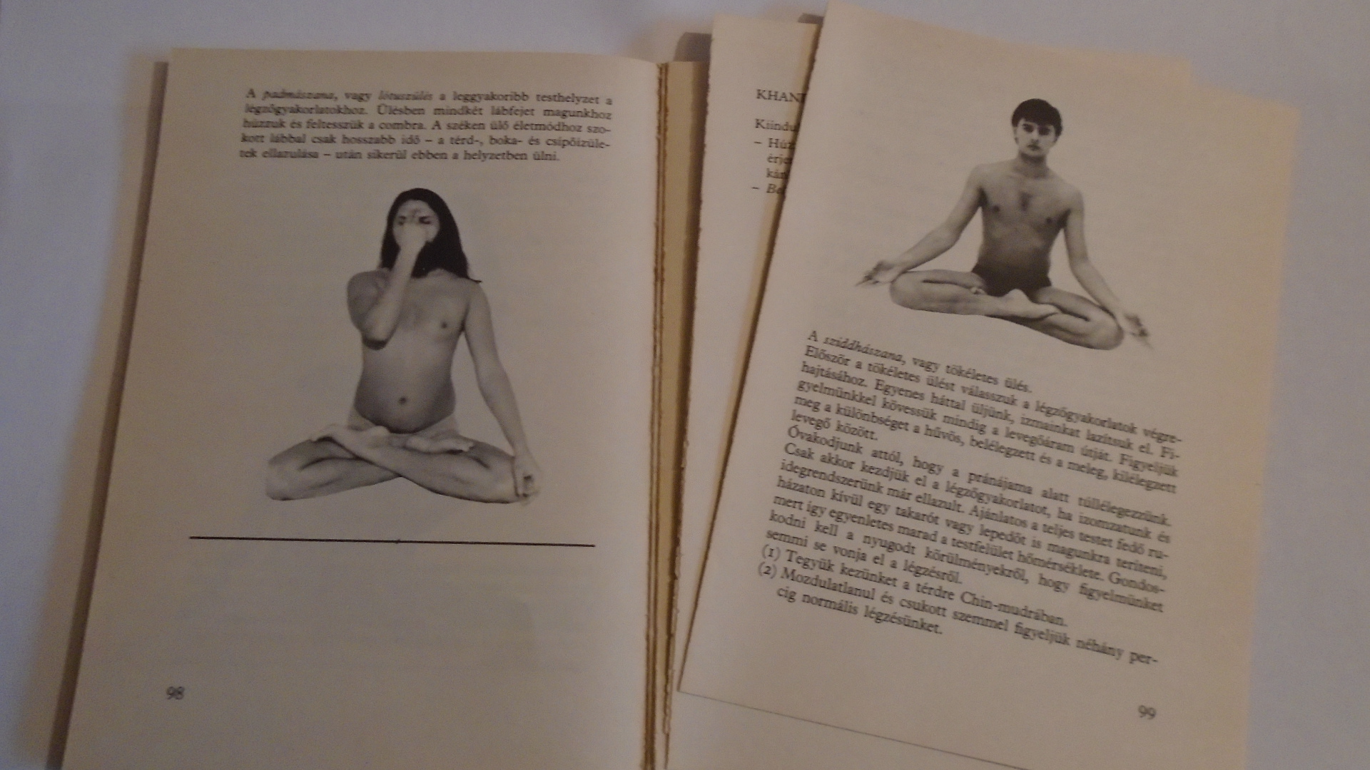 Paramhansa Swami Maheshwarananda: Jóga - 5. kép