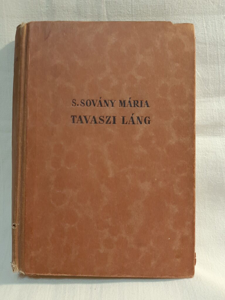 S. Sovány Mária: Tavaszi láng - 2. kép