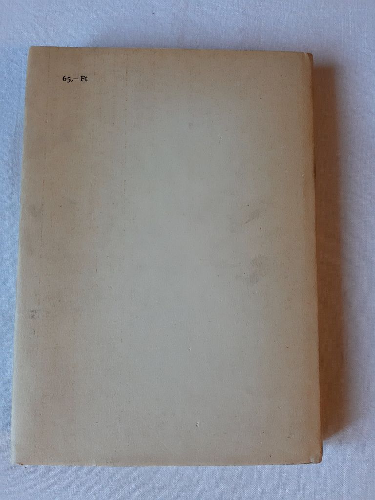 Mérei Ferenc, V. Binét Ágnes: Gyermeklélektan - 4. kép