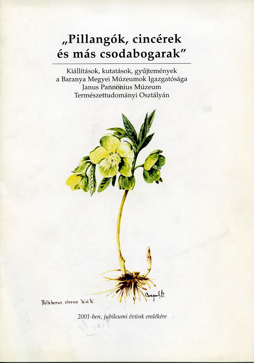 „Pillangók, cincérek és más csodabogarak” - 1. kép