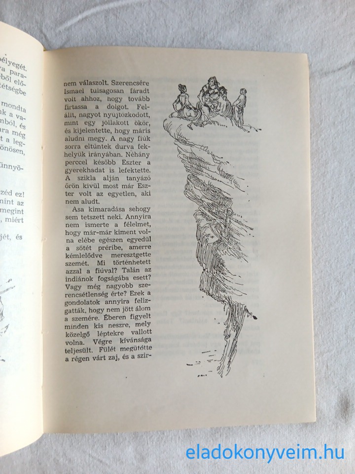 J. F. Cooper: A préri - 4. kép