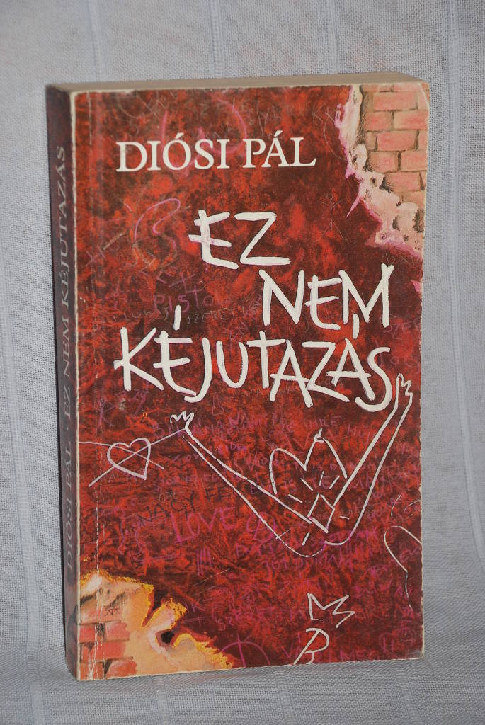 Diósi Pál:  Ez nem kéjutazás : Interjúk a budapesti prostitúcióról - 1. kép