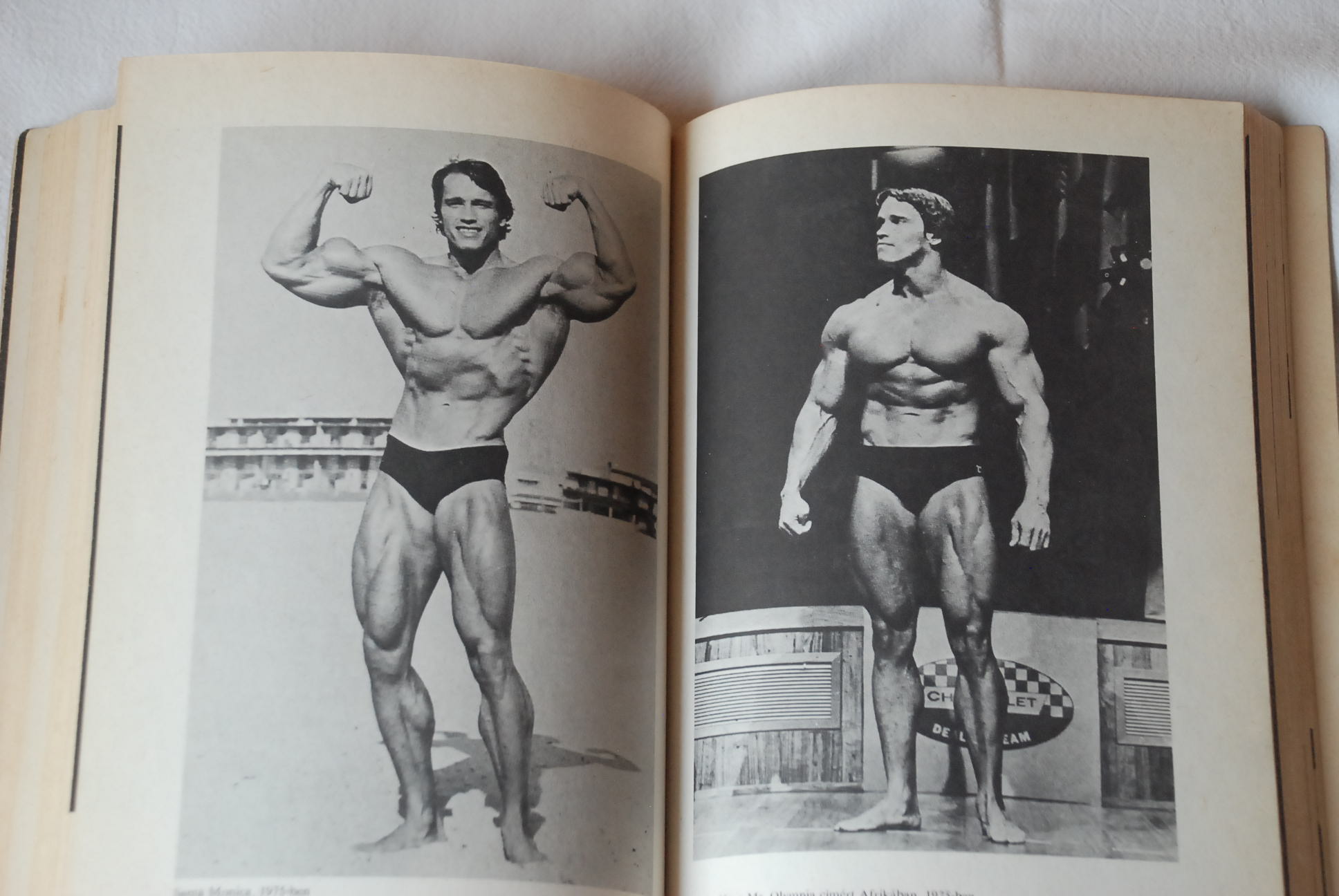 Arnold Schwarzenegger, Douglas Kent Hall: Utam a csúcsra : A testépítés nagykövete - 3. kép