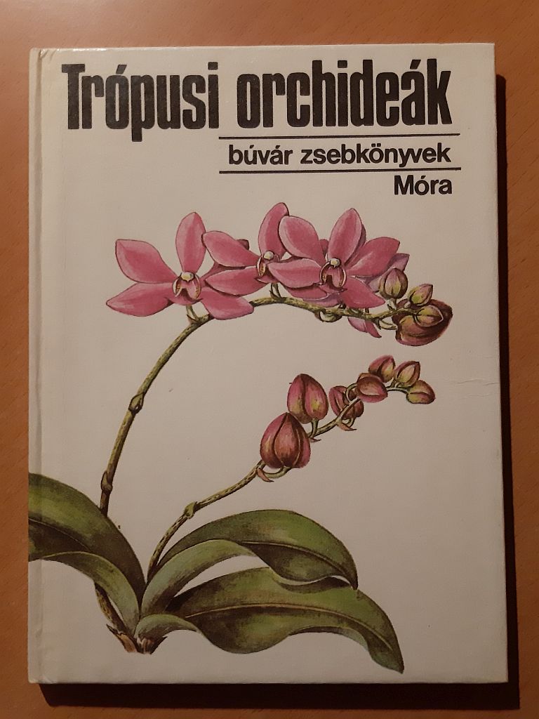 Sulyok Mária, Varga Emma: Trópusi orchideák - 1. kép