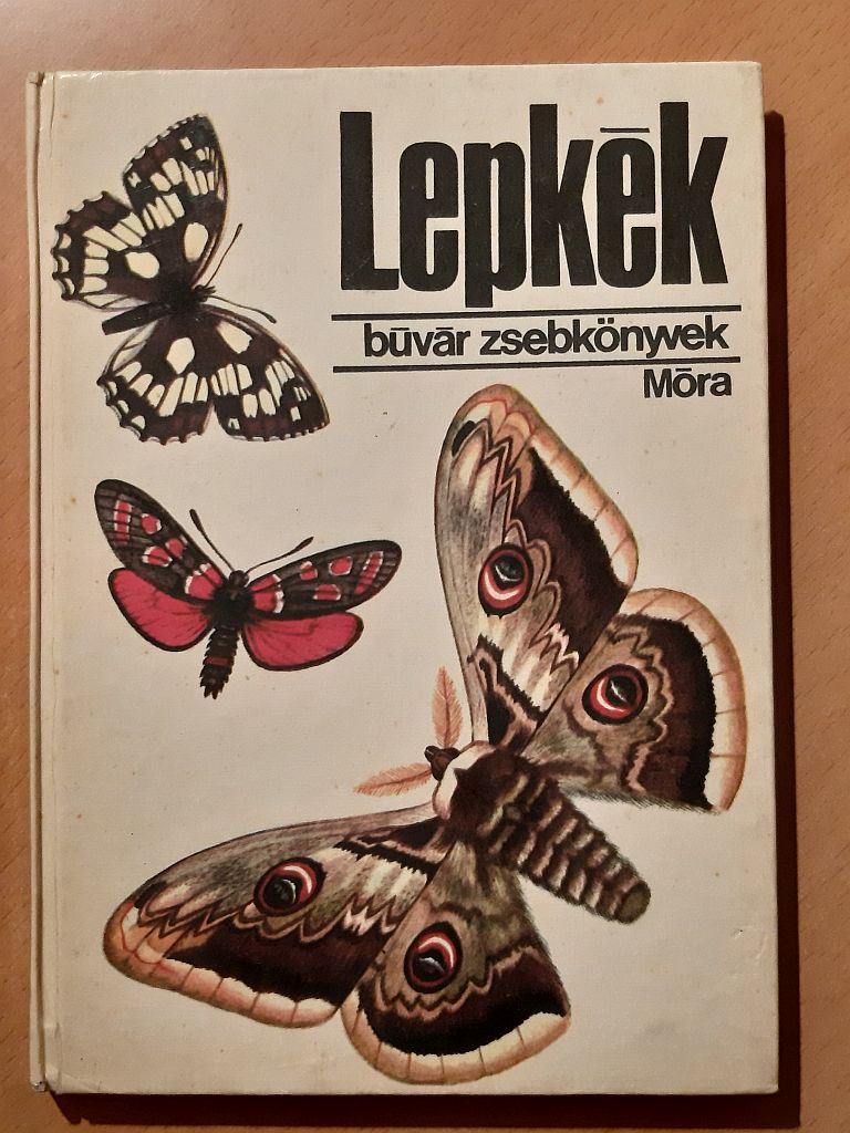 Kalmár Zoltán, Csépe Magdolna: Lepkék - 1. kép