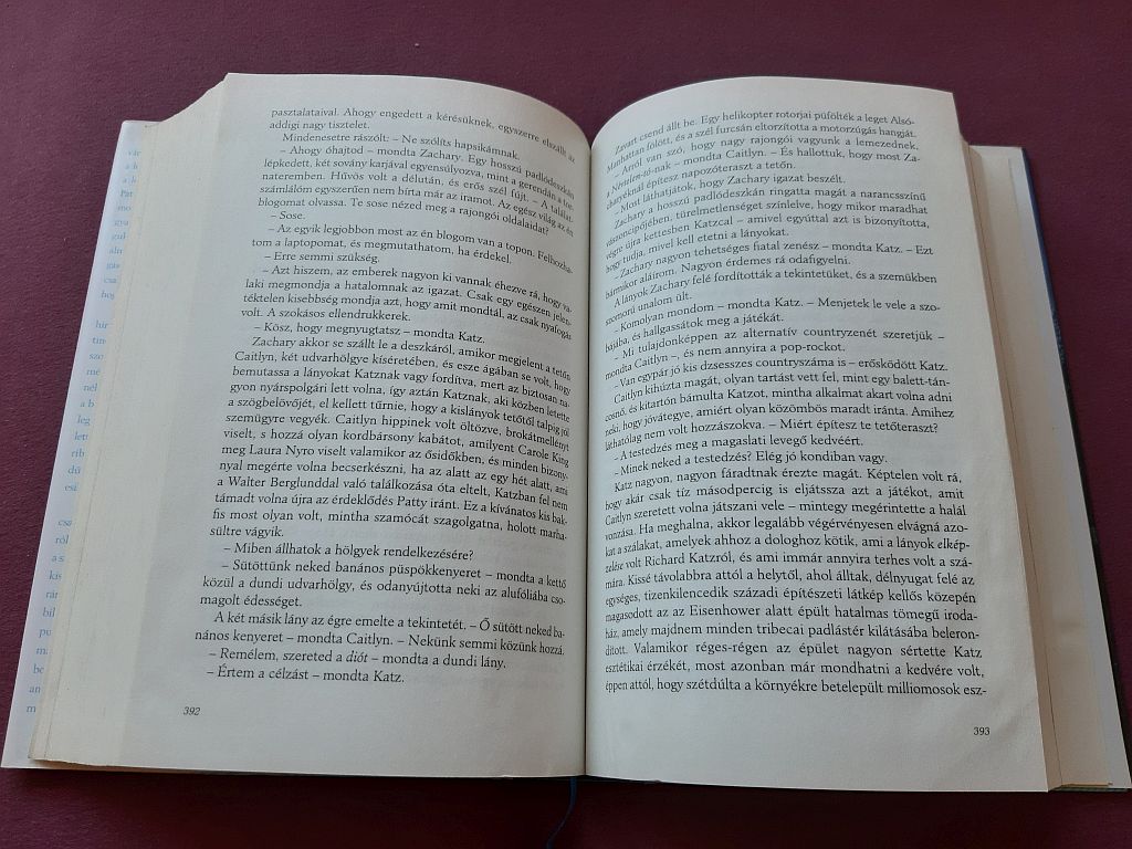 Jonathan Franzen: Szabadság - 4. kép
