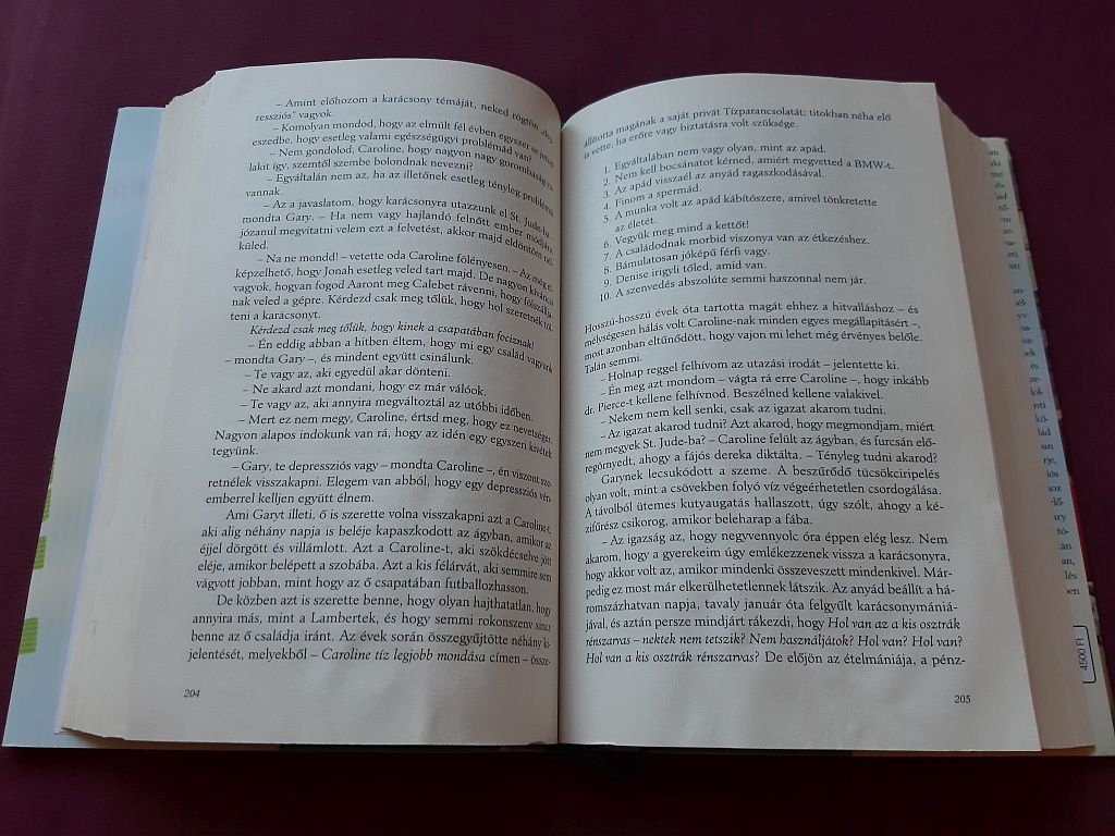 Jonathan Franzen: Javítások - 4. kép