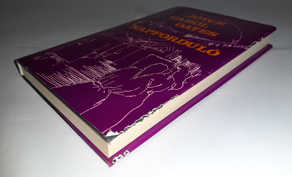 Joyce Carol Oates: Napforduló - 3. kép