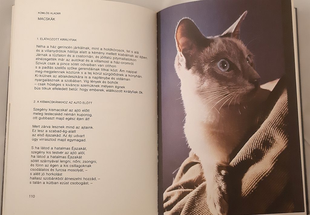 Pomogáts Béla (szerk.): Doromboló - 2. kép