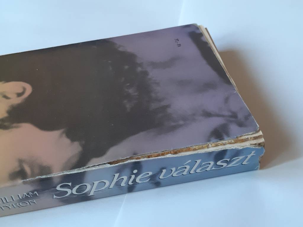 William Styron: Sophie választ - 3. kép