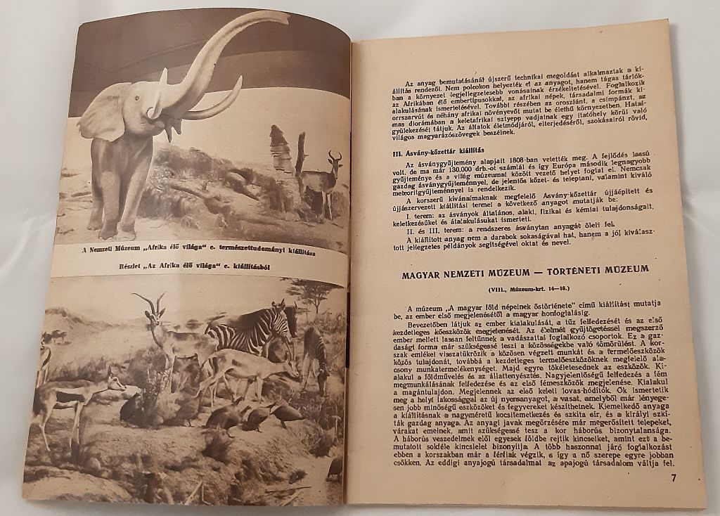 Munkádban, tanulásban segít a múzeum - 3. kép