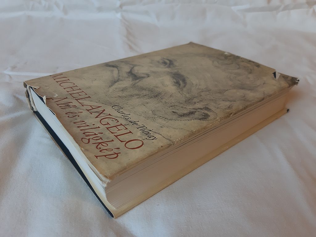 Charles de Tolnay: Michelangelo : mű és világkép - 2. kép