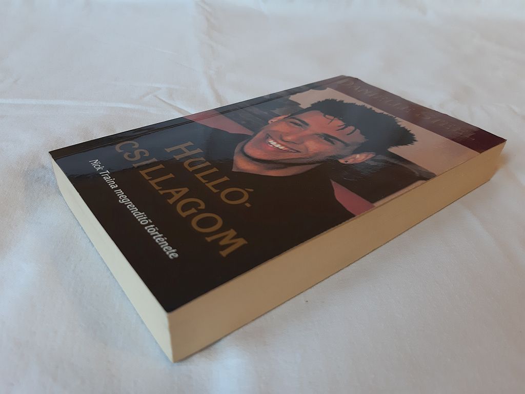 Danielle Steel: Hullócsillagom : Nick Traina megrendítő története - 3. kép