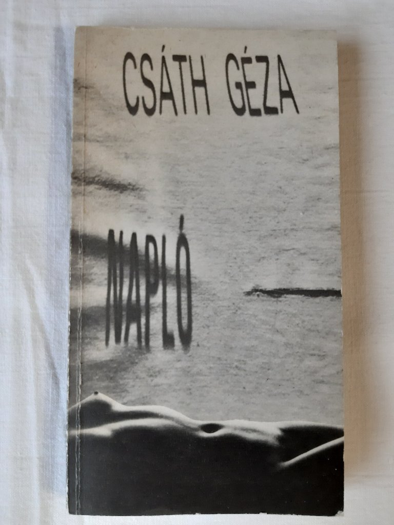 Csáth Géza: Napló 1912-1913 - 1. kép