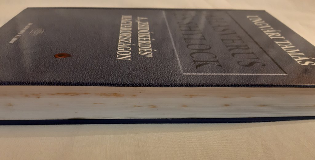 Ungvári Tamás: Ahasvérus és Shylock : a „zsidókérdés” Magyarországon - 2. kép