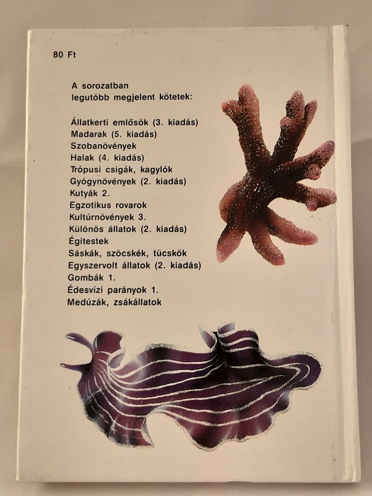 Bába Károly: Medúzák, zsákállatok - 2. kép
