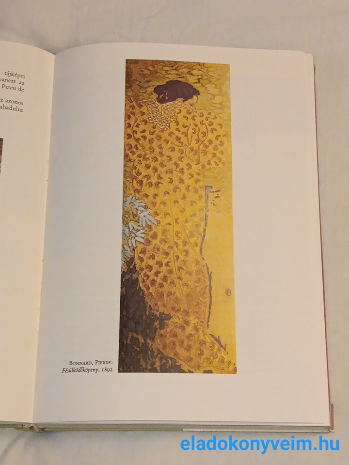 Champigneulle: Art nouveau, Jugendstil, Szecesszió - 7. kép