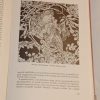 Champigneulle: Art nouveau, Jugendstil, Szecesszió - Thumbnail Image 4