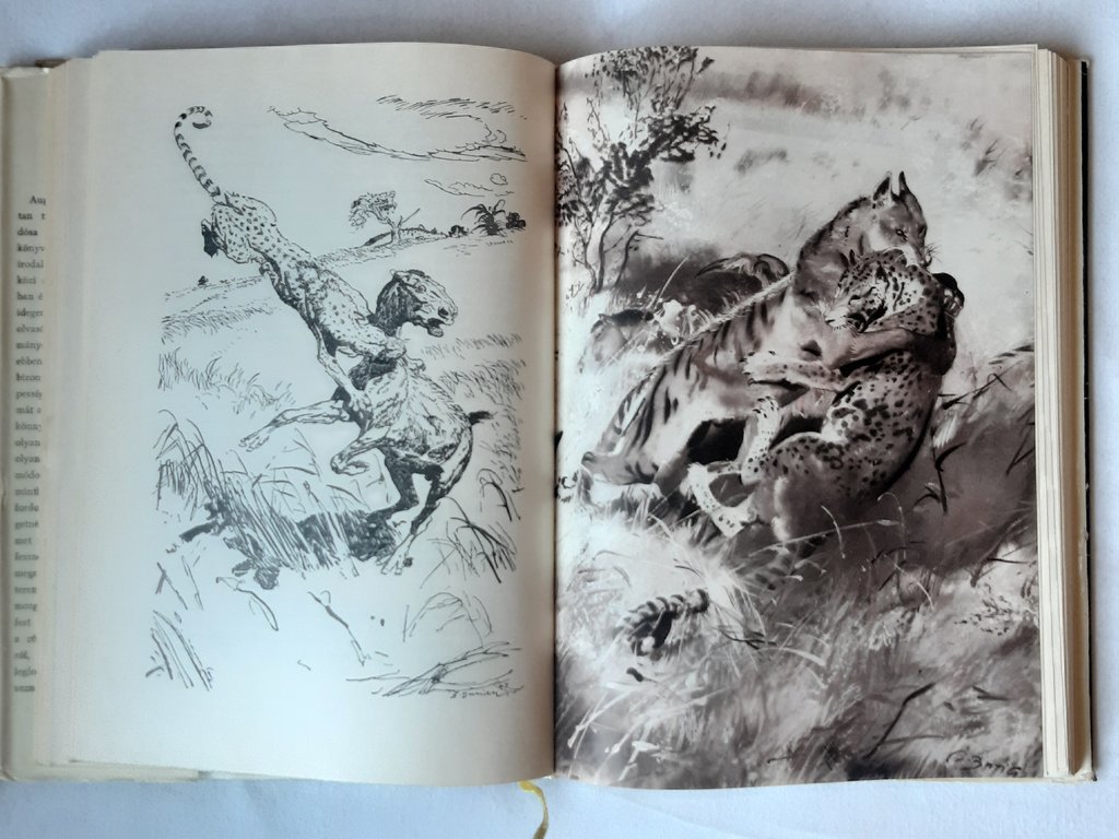 Josef Augusta: Az ősvilág állatóriásai - 2. kép