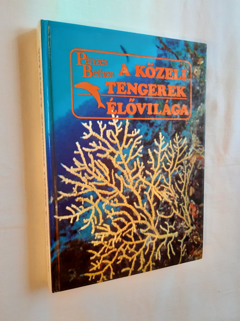 Pénzes Bethen: A közeli tengerek élővilága - 1. kép