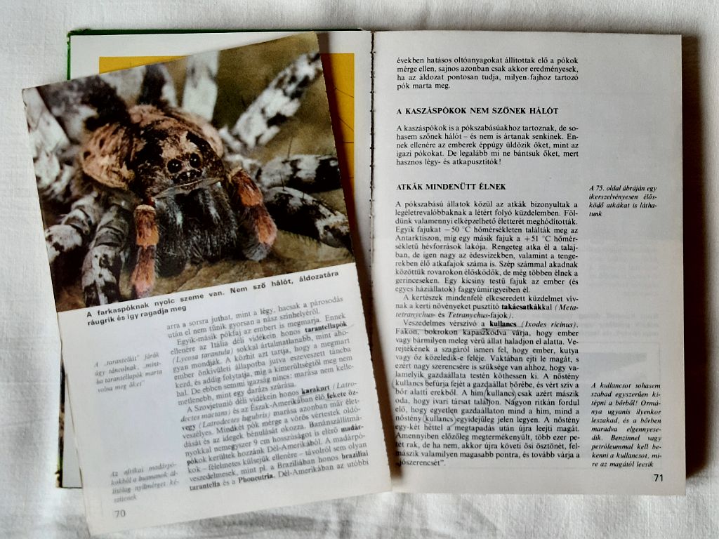 Az állatvilág titkai : az egysejtűtől az emlősállatig - 2. kép