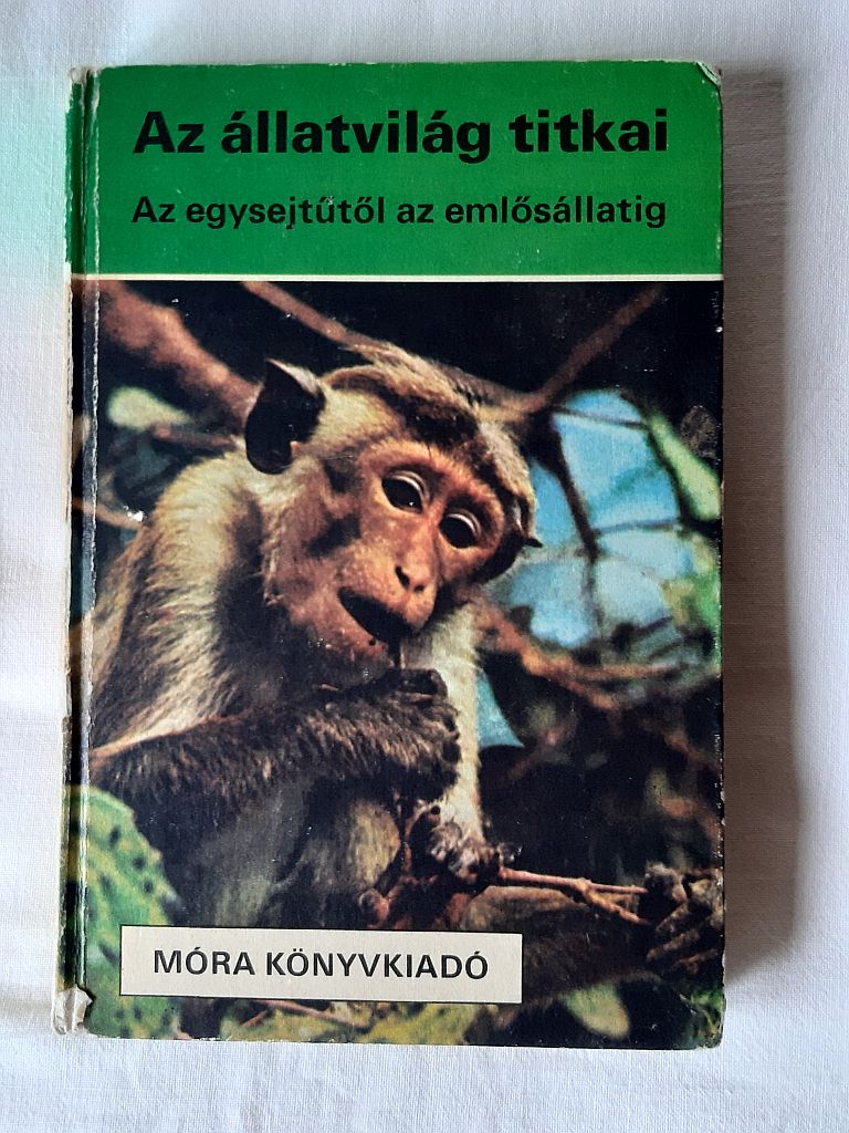 Az állatvilág titkai : az egysejtűtől az emlősállatig - 1. kép