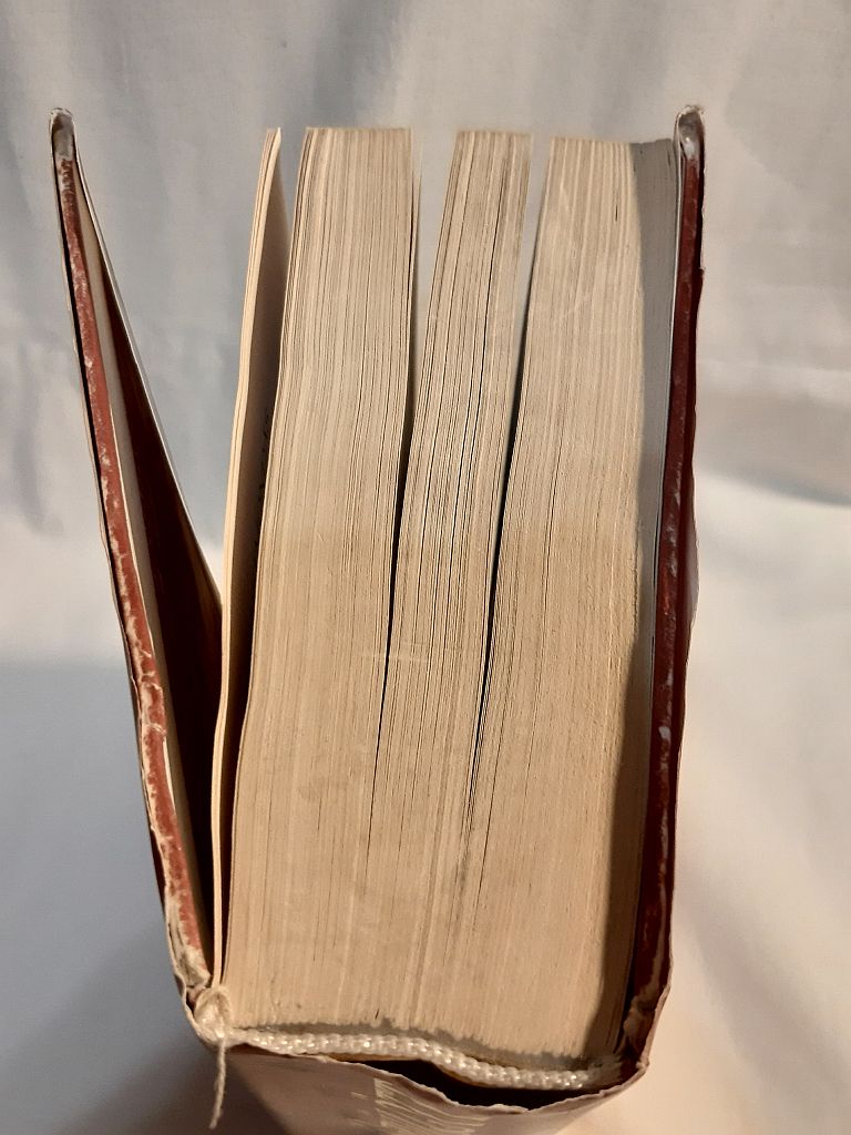 Christopher Paolini: Elsőszülött - 2. kép