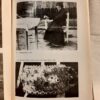 Faragó József, Nagy Jenő, Vámszer Géza: Kalotaszegi magyar népviselet (1949-1950) - Thumbnail Image 5