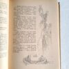 James Fenimore Cooper: Nyomkereső - Thumbnail Image 3