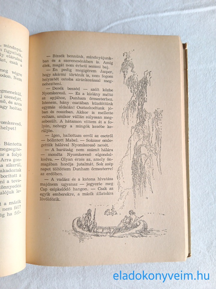 James Fenimore Cooper: Nyomkereső - 3. kép