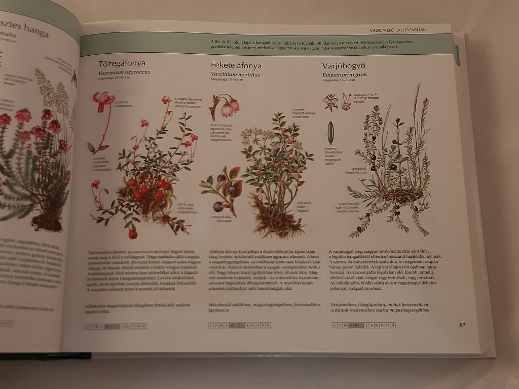 Természetbarátok kézikönyve - 3. kép