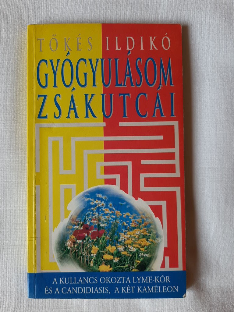 Tőkés Ildikó: Gyógyulásom zsákutcái - 1. kép