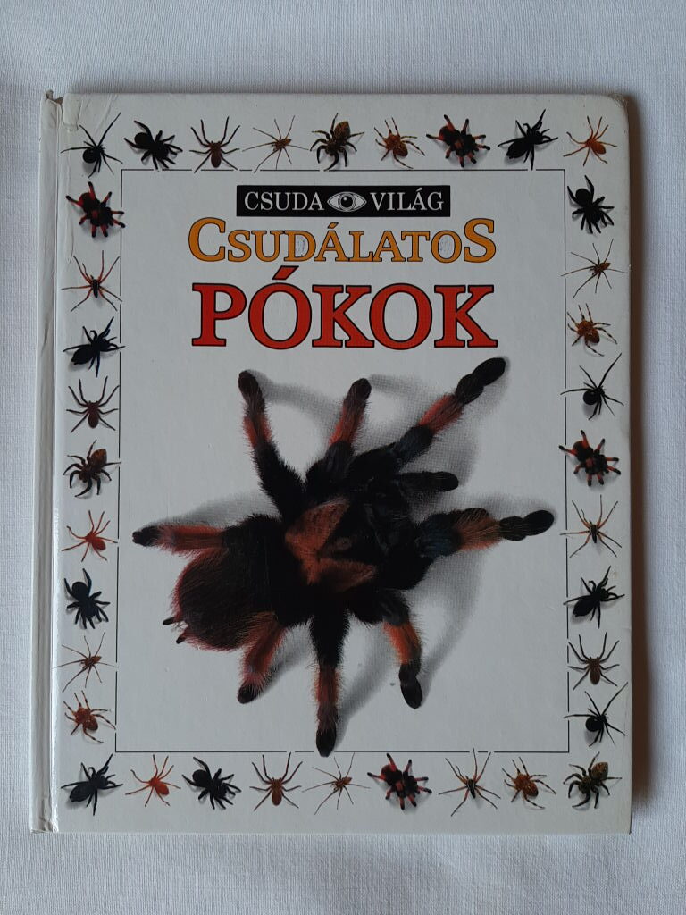 Alexandra Parsons: Csudálatos pókok - 1. kép