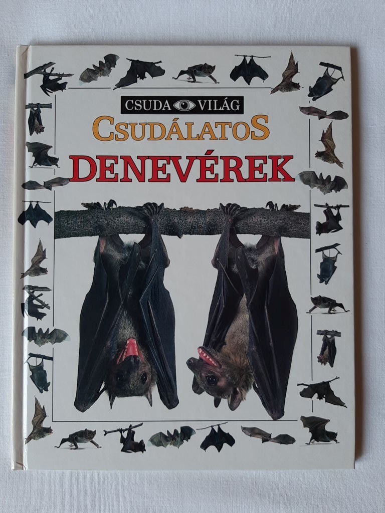 Frank Greenway: Csudálatos denevérek - 1. kép