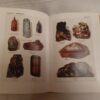 A természettudományok zsebkönyve - Thumbnail Image 4