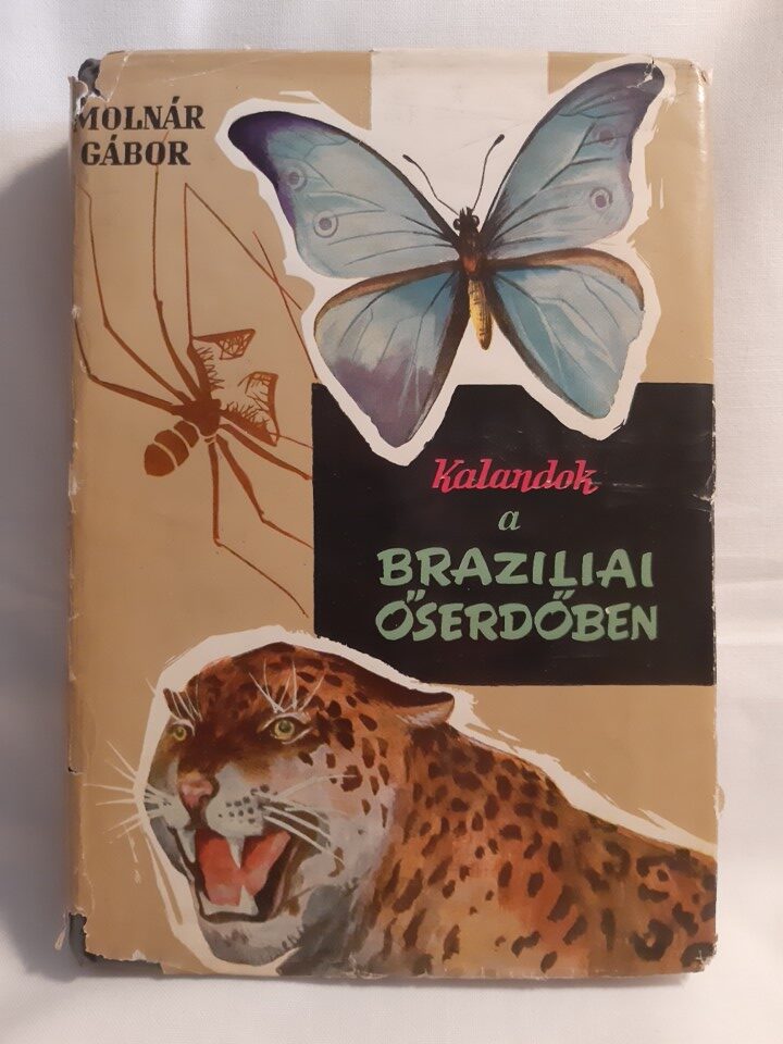 Molnár Gábor: Kalandok a brazíliai őserdőben - 1. kép