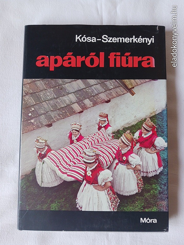 Kósa László, Szemerkényi Ágnes: Apáról fiúra - 1. kép
