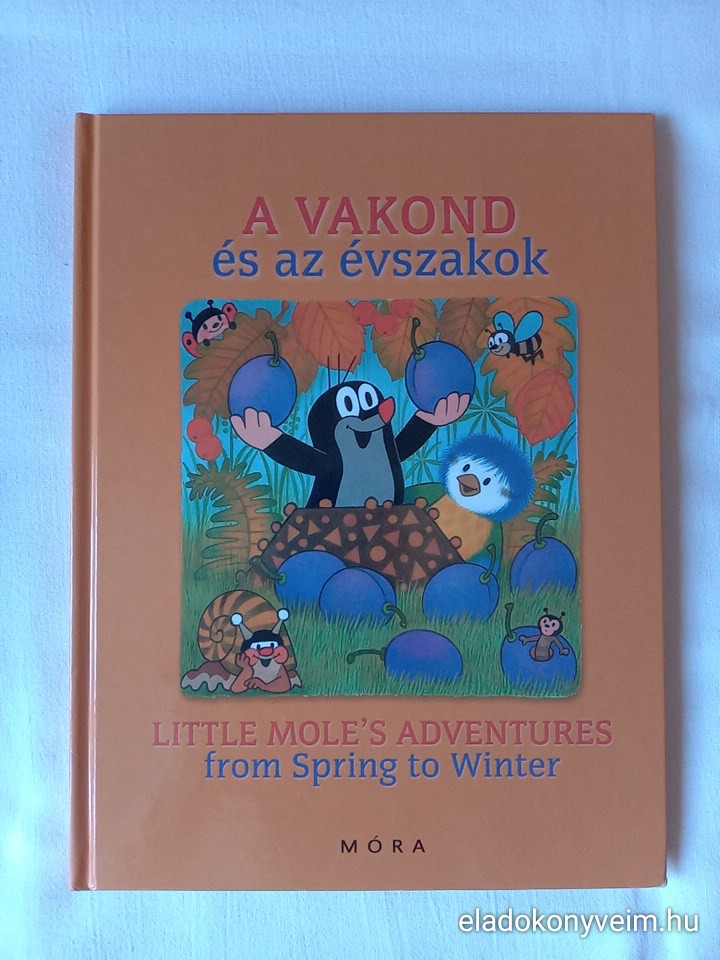 - 1. kép
