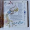 Susan Greenfield: Megmagyarázzuk az emberi értelmet - Thumbnail Image 2
