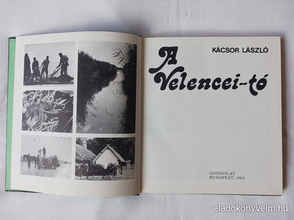 Kácsor László: A Velencei-tó - 2. kép