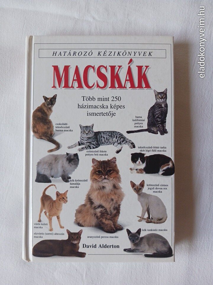 David Alderton: Macskák - 1. kép