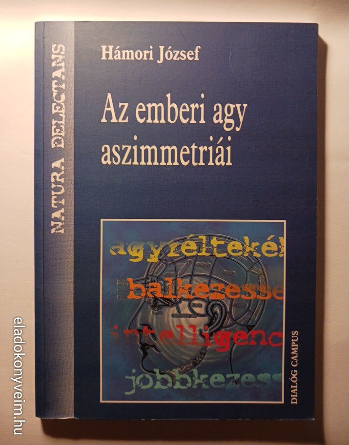Hámori József: Az emberi agy aszimmetriái - 1. kép