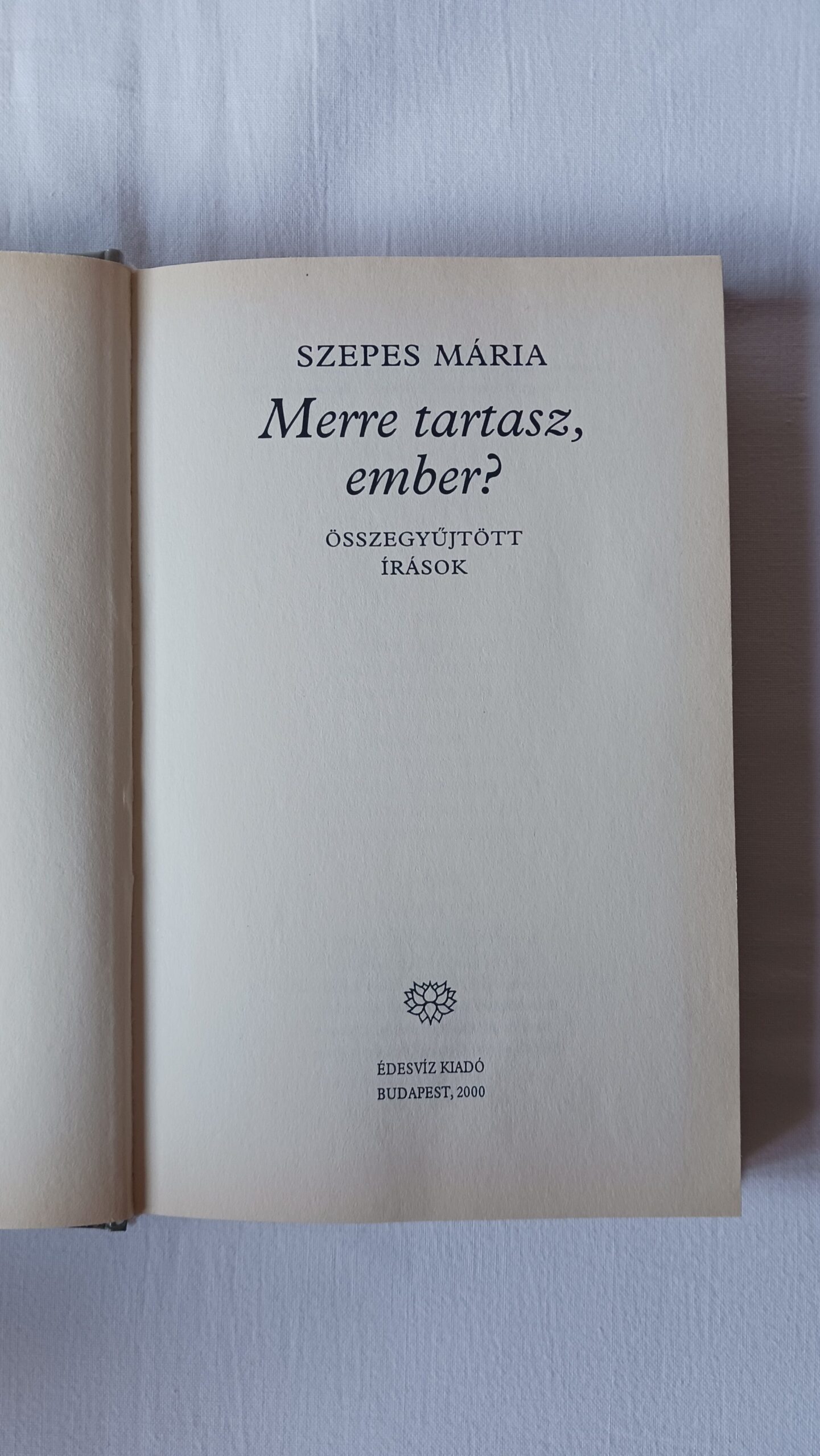 Szepes Mária: Merre tartasz ember? - 2. kép