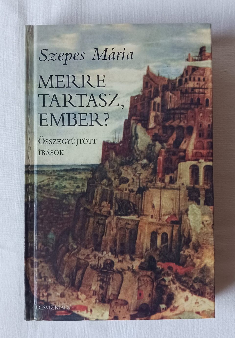 Szepes Mária: Merre tartasz ember? - 1. kép