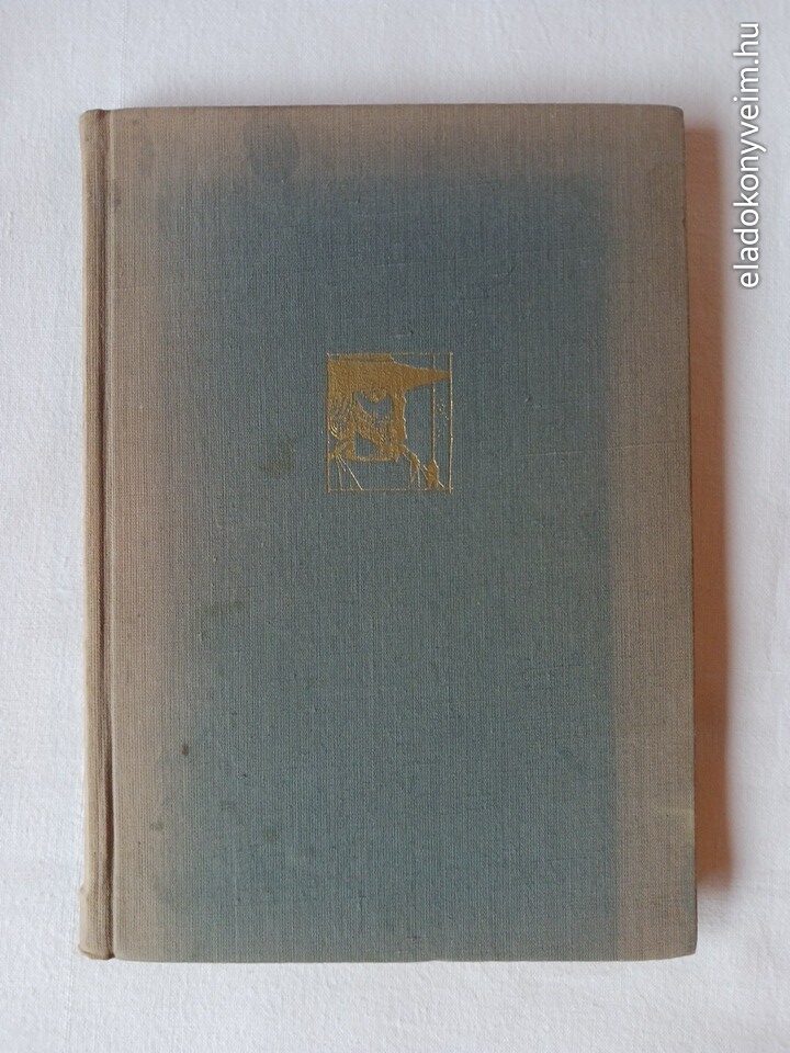 E. Charles Vivian: Robin Hood - 1. kép