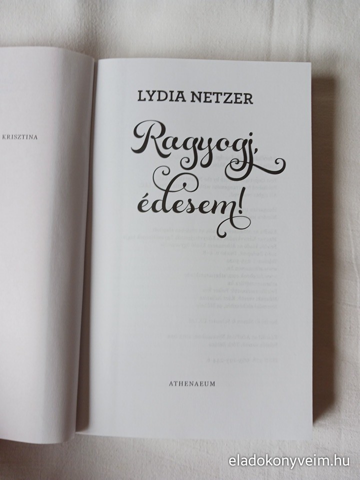 Lydia Netzer: Ragyogj, édesem! - 2. kép
