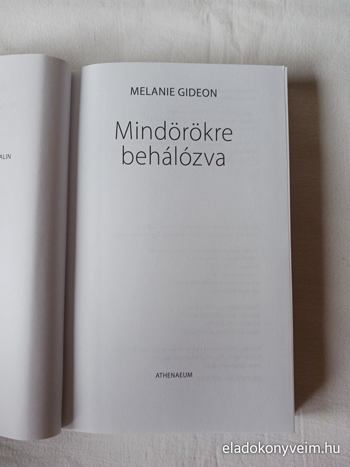 Melanie Gideon: Mindörökre behálózva - 2. kép